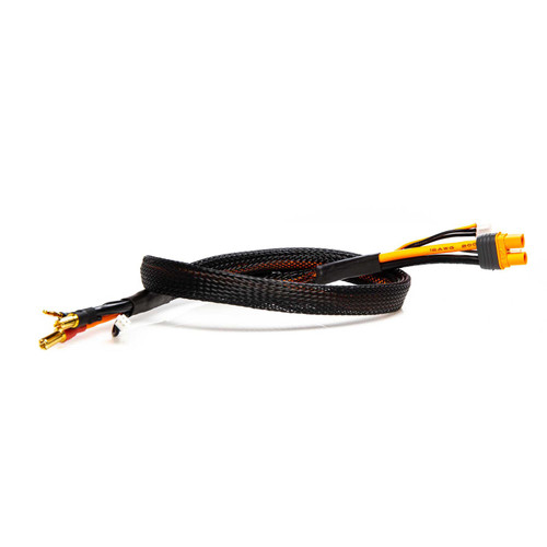 Spektrum RC IC3 Smart 2S Charge Lead w/5mm Bullets (24") (SPMXCA316)