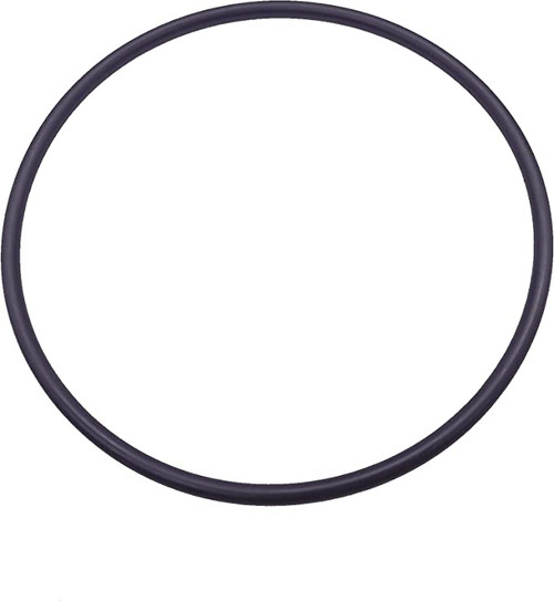 HAYWARD LEAF CANISTER O-RING ONLY FITS BOTH SIZES