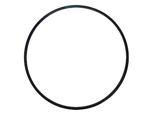HAYWARD SWIM CLEAR QUAD FILTER METAL REINFORCED ORING