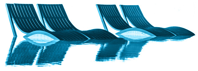 Dolphin Pacific Logo