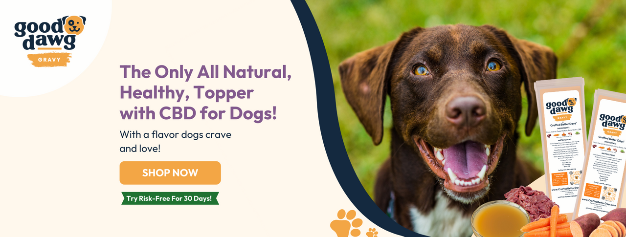 CBD  for Dogs Topper