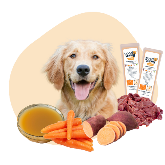 Young Dog with Good Dawg Gravy Core Longevity Topper with CBD