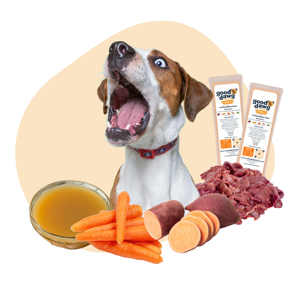 Anxious Dog with bowl of Good Dawg Gravy carrot sweet potato and liver