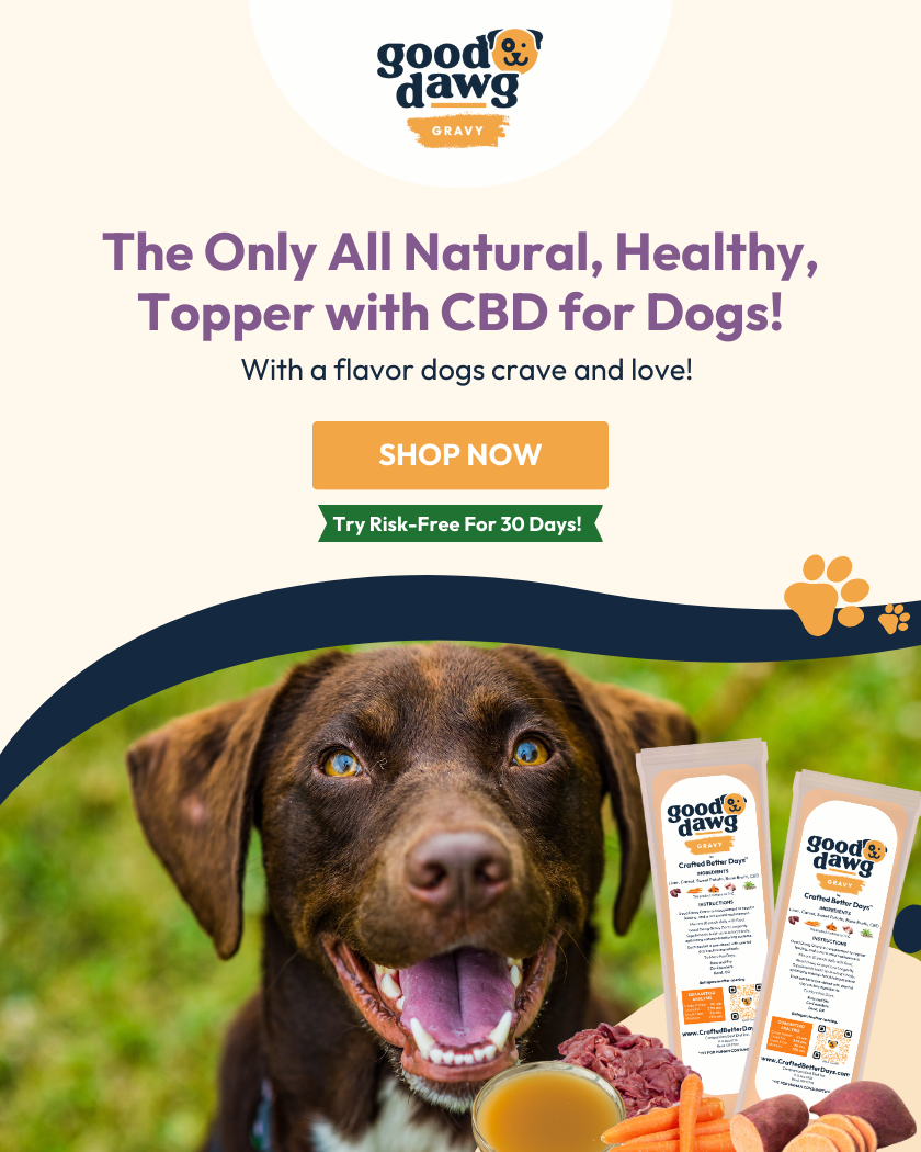 CBD  for Dogs Topper