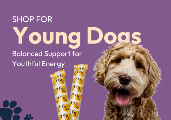 Young Dogs