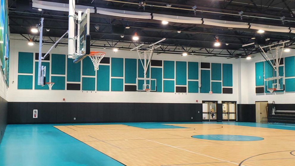school gym with custom painted and cut timberwool panel