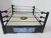 MATTEL 2010  WWE WRESTLING RING WRESTLEMANIA 13"  L235