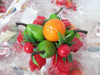 LOT OF 12 KITCHEN FRIG MAGNETS BRIGHTLY COLORED FRUIT 4" NEW IN PKGS