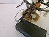 LEMAX DECORATED HALLOWEEN TREE LIGHTED REPAIRED AS IS IT WORKS   LotD