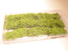 CREATIVE ACCENTS - CA0221 LIGHT GREEN DITCH WEEDS -  NEW-  -M63