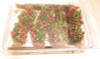 CREATIVE ACCENTS - CA0100  'STAKED TOMATO PLANTS' (4) NEW- M63