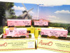 RMT BY ARISTOCRAFT 'ALL ABOARD AGAINST CANCER' LIMITED PINK 027 SET- NEW - P1