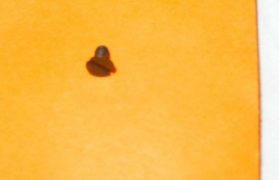 LIONEL PART - 700E - HUDSON E-UNIT MOUNTING SCREW - NEW- H17B|357225527479