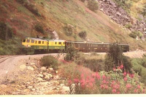 VINTAGE RAILROAD POSTERS/PRINTS- WHITE PASS PASSENGER TRAIN PIC.-FRAMED 30 X 24"