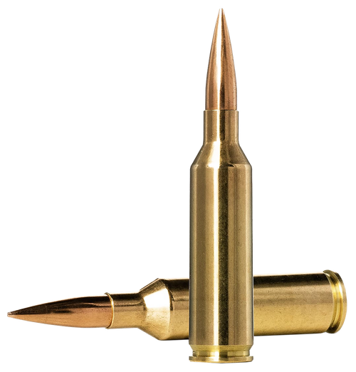 Norma Ammunition 10166462 Dedicated Precision Golden Target Match 6.5PRC 143gr Hollow Point Boat Tail 20 Per Box/10 Case