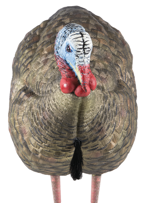 Avian X AVXAVX8012 LCD Half-Strut Jake Turkey Species Multi Color Dura-Rubber