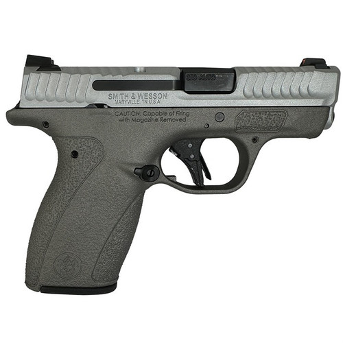 BODYGUARD 2.0 380ACP (1)10&(1)12 MAGS NTS SATIN GUN METAL