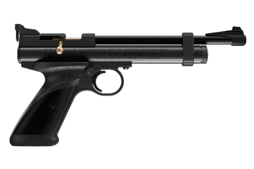Daisy 2240 2240  Black Polymer CO2 22 Cal, Single Shot Bolt Action