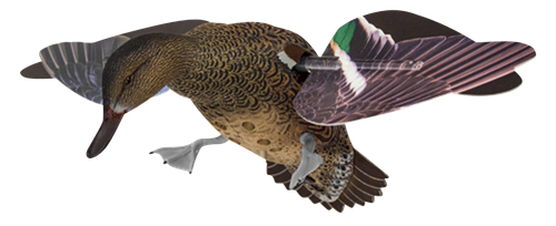 Avian X AVXPFLHT PowerFlight Hen Green-Winged Teal spinning wing decoy