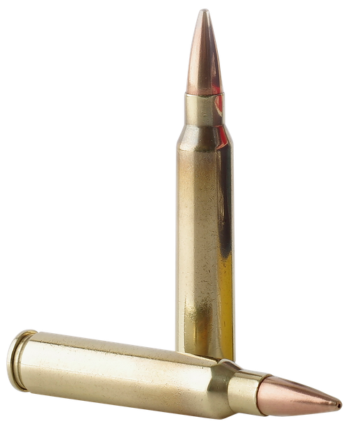 TR&Z PPMK223  Supreme Line 223 Rem 69 gr Sierra MatchKing BTHP 20 Per Box/ 10 Case