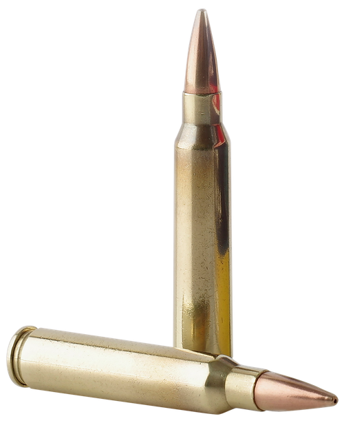 TR&Z PPMK223  Supreme Line 223 Rem 69 gr Sierra MatchKing BTHP 20 Per Box/ 10 Case