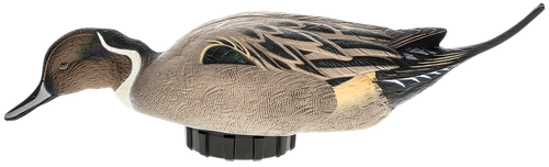 Avian X AVXPSHPNSF Power Shaker  Pintail Surface Feeder Duck Decoy Multi-Color