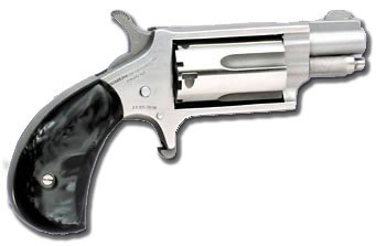 MINI 22MAG REV 1-1/8 SS BLKPRL22 Magnum