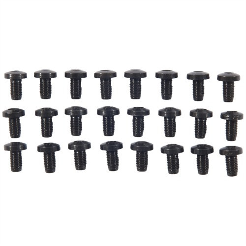24 PACK H/H BLUE SCREWS