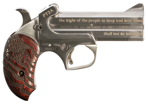 Bond Arms PT2A Protect the 2nd Amendment Derringer Single 45 Colt (LC)/410 Gauge 4.25" 2 Round Stainless Steel