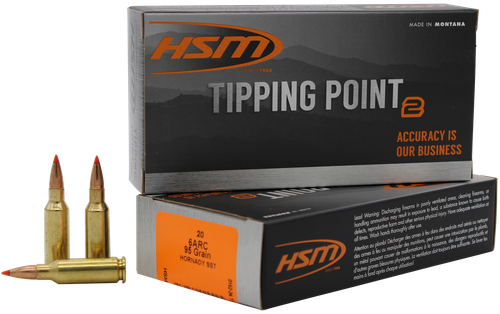 HSM 6ARC2N Tipping Point Super Shock Tip 6mm ARC 95 gr 20 Per Box/ 25 Case