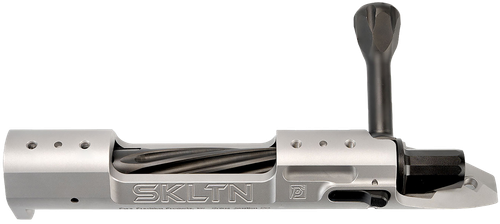 P2 IN-00284 SKLTN LA LH MAGNUM TI