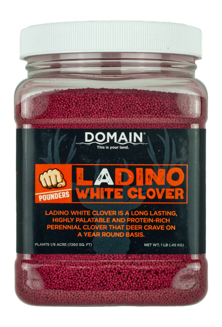 DOMAIN DLWCS1LB   LADINO WHITE CLOVER
