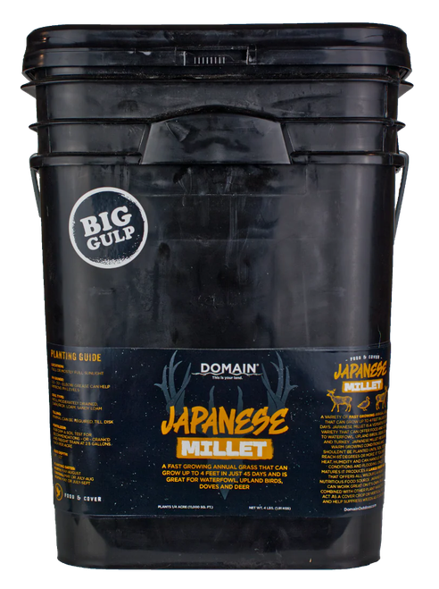 DOMAIN DJMS4LB    JAPANESE MILLET