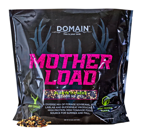 DOMAIN MLFP20      MOTHER LOAD