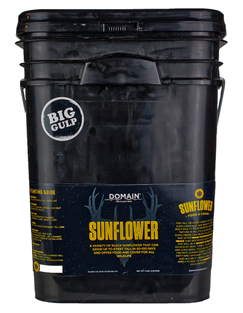 DOMAIN DSS3LB     SUNFLOWER