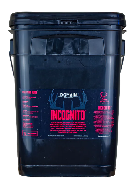 DOMAIN INCFP325   INCOGNITO