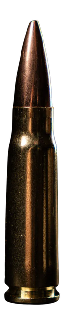 ATOMIC 88431 762         220 TCSSUB-20       20/10