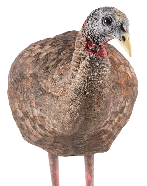 Avian X AVXAVX8008 LCD Breeder Hen Turkey Species Multi Color Dura-Rubber
