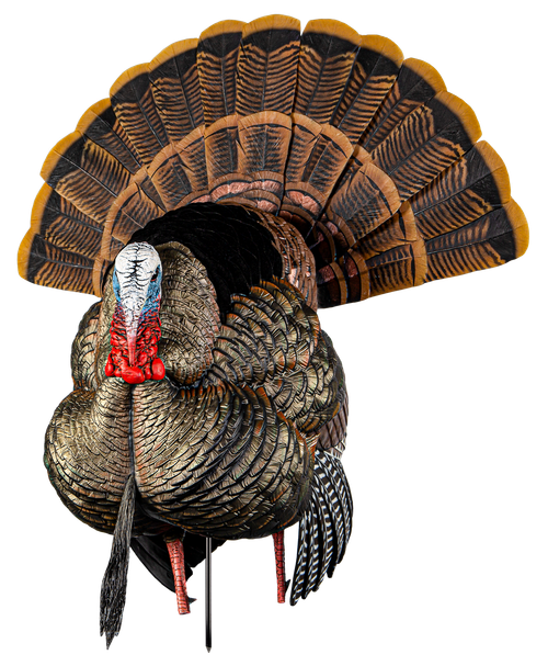 Avian X AVXAVX8108 HDR Strutter Turkey Species Multi Color