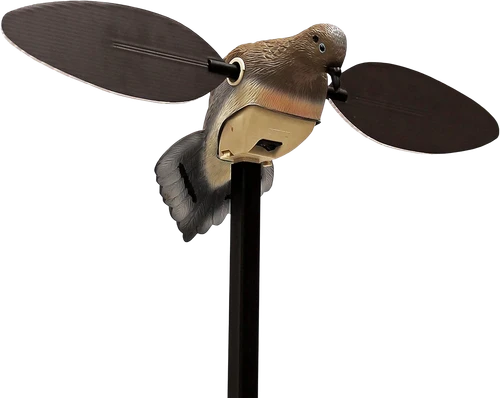 Mojo Outdoors HW2488 Elite Series  Dove Species Multi Color PVC