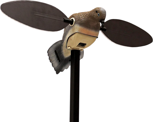 Mojo Outdoors HW2488 Elite Series  Dove Species Multi Color PVC