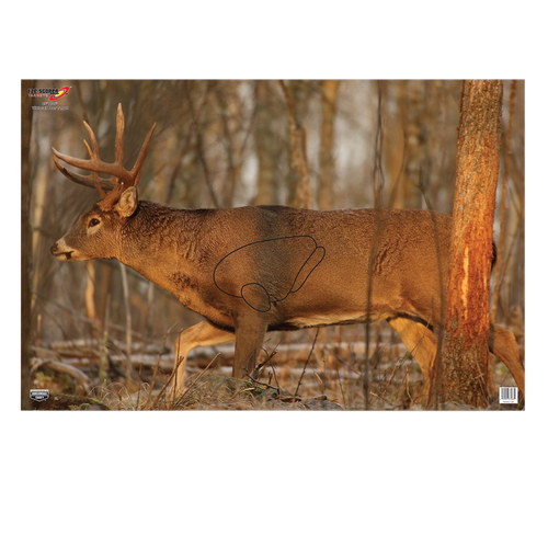 Birchwood Casey 37481 EZE-Scorer  Whitetail Deer Paper Hanging 23" x 35" Multi-Color 2 Per Pkg