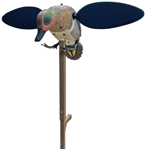 Mojo Outdoors HW2555  Green Winged Teal Teal Species