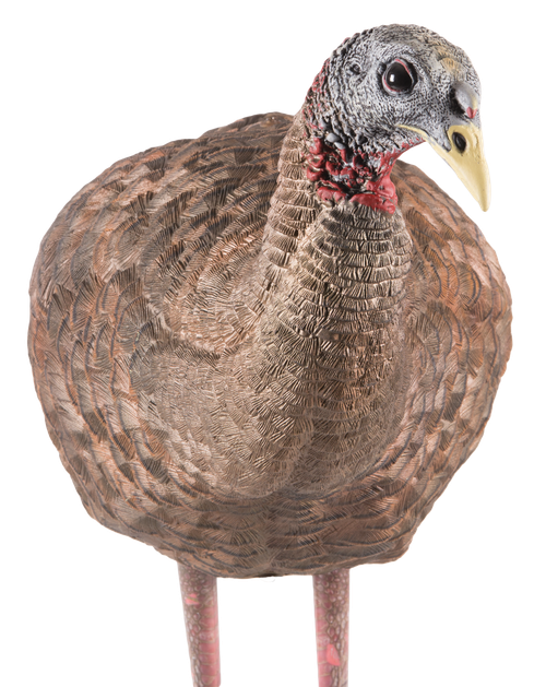 Avian X AVXAVX8008 LCD Breeder Hen Turkey Species Multi Color Dura-Rubber