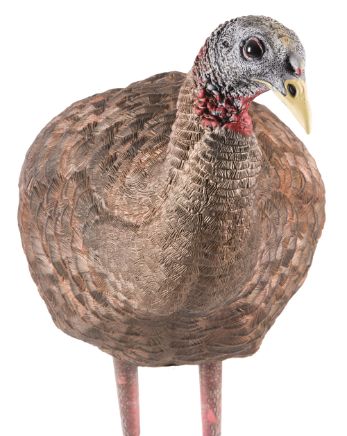 Avian X AVXAVX8008 LCD Breeder Hen Turkey Species Multi Color Dura-Rubber