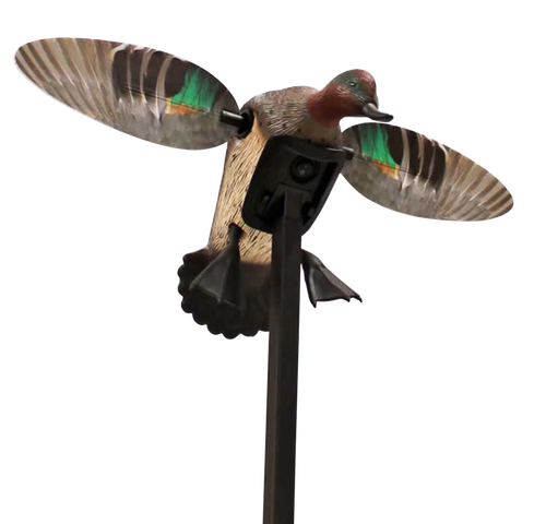 Mojo Outdoors HW24743P Elite Series Green Winged Teal Duck Species Natural Molded Plastic Features Remote Compatible