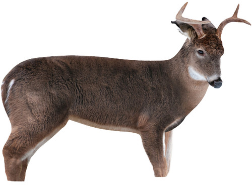 MONTANA DECOY DEER FRESHMAN BUCK