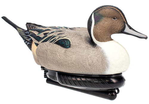AVIAN AVX-PSW-PNSW  POWER SWIMMER PINTAIL DRAKE
