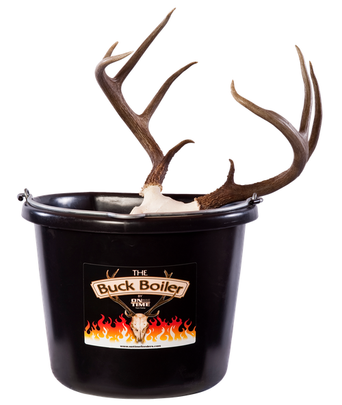 On Time 95000 Buck Boiler  All-Electric System for European Dressed Hunting Trophies