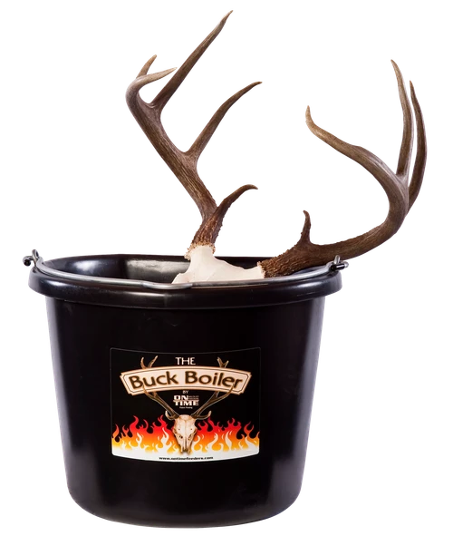 On Time 95000 Buck Boiler  All-Electric System for European Dressed Hunting Trophies